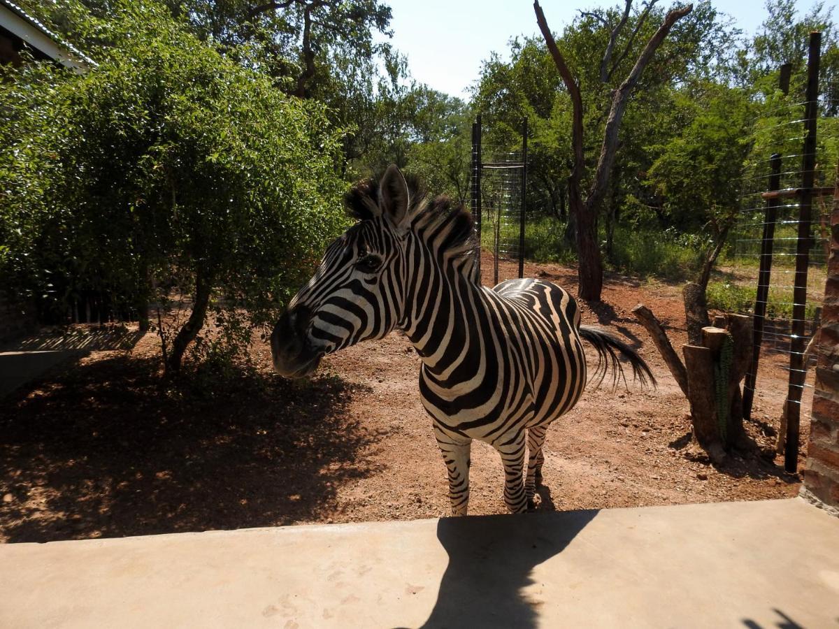 Kruger'S Retreat House & Kruger'S Rest Studio Marloth Park Exterior photo
